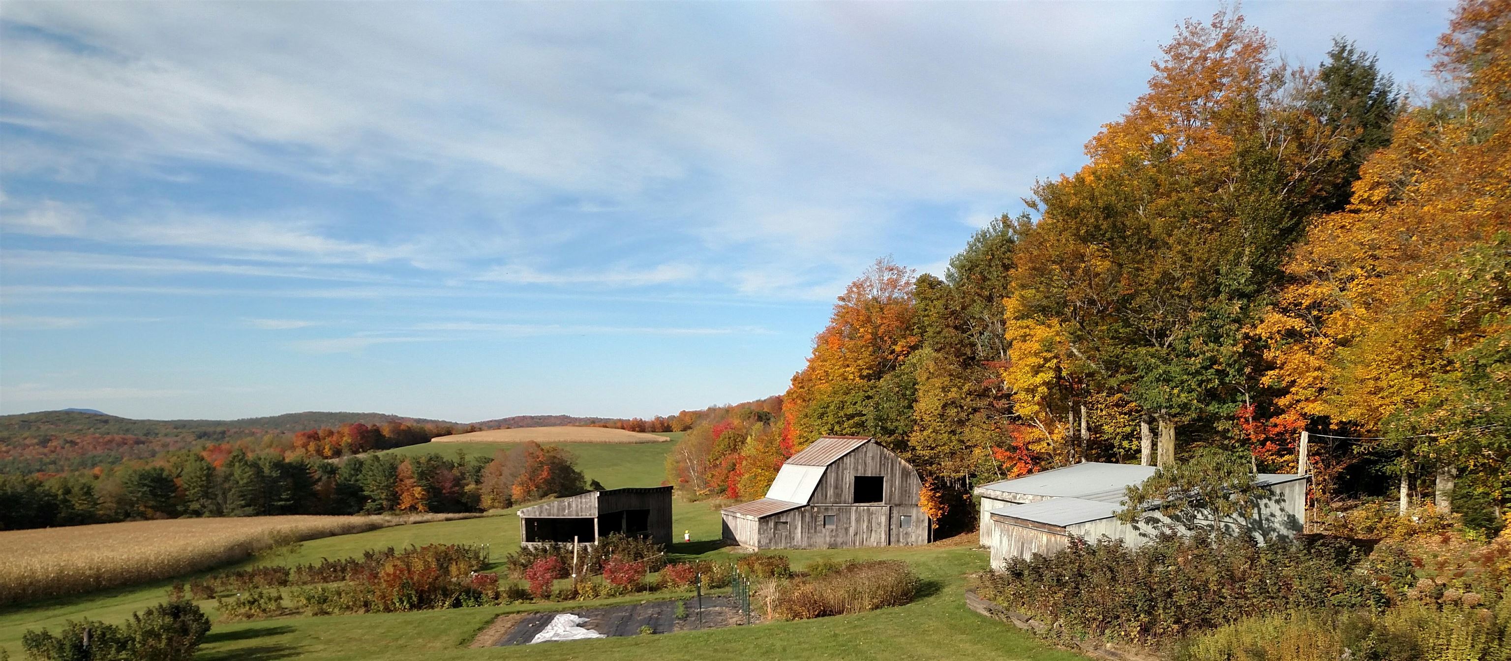 563 Holden Hill Road Langdon, NH 03602 - Photo 14 of 43