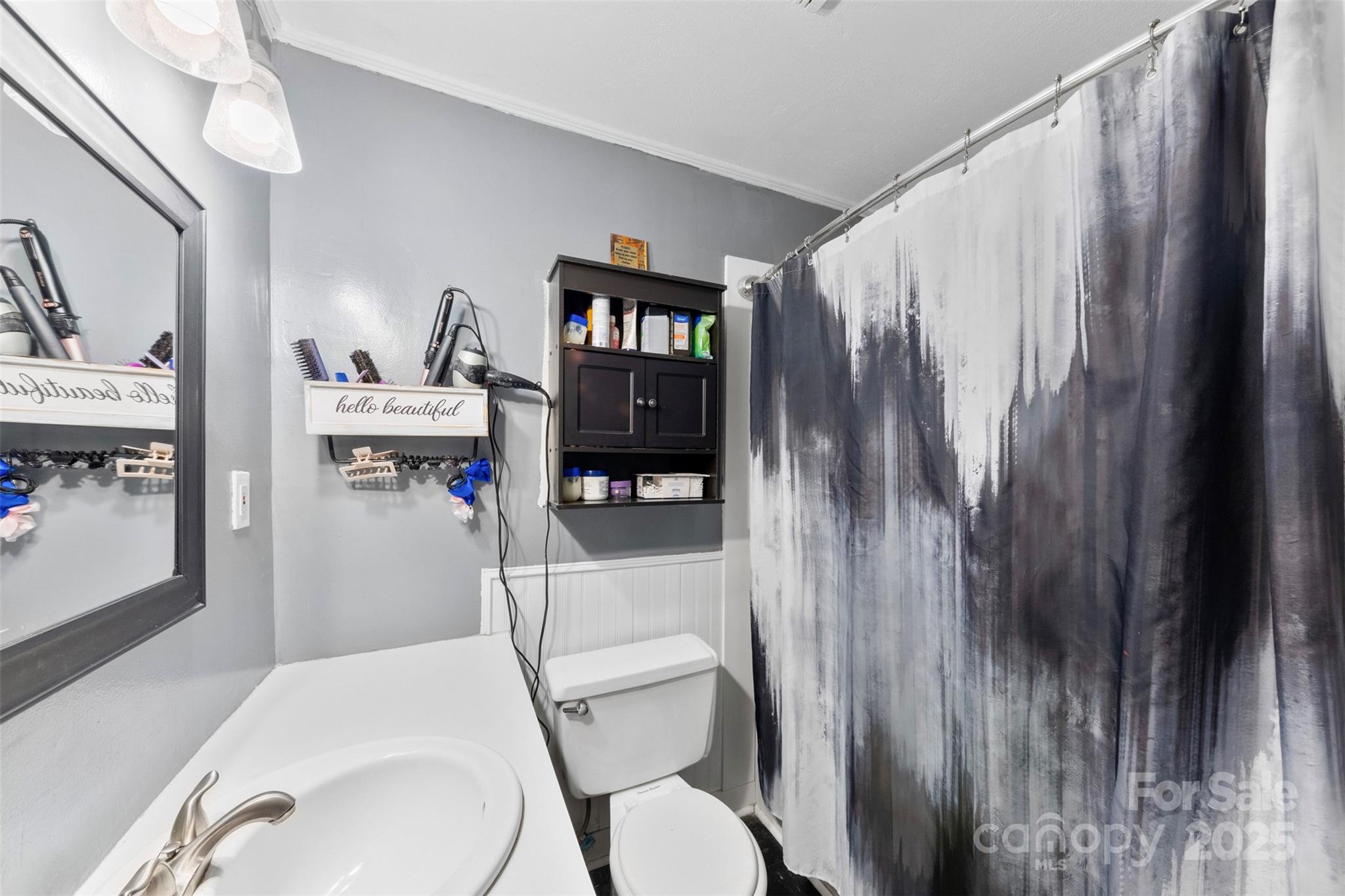 310 South Main Street Stanley, NC 28164 - Photo 12 of 22 a bathroom with a toilet a sink and mirror