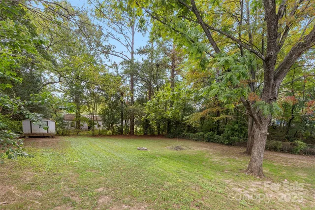 a view of a field with a tree