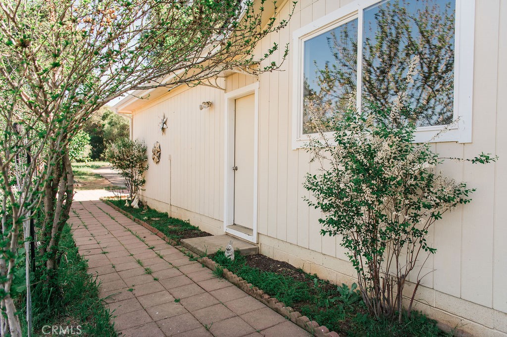 5085 Boyer Road Mariposa, CA 95338 - Photo 59 of 75 a couple of flower plants in front of house