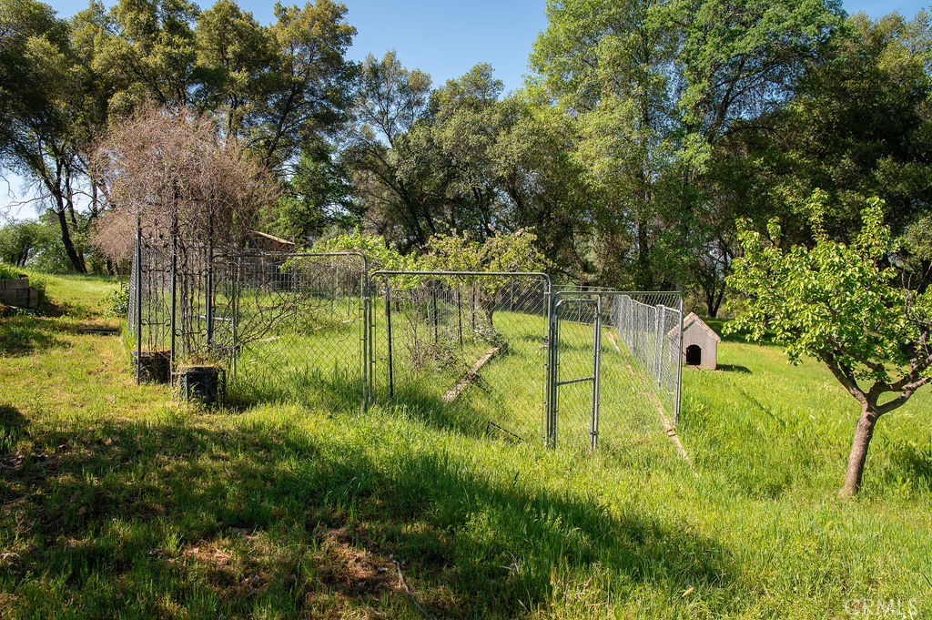 5085 Boyer Road Mariposa, CA 95338 - Photo 66 of 75 a view of swimming pool from a garden