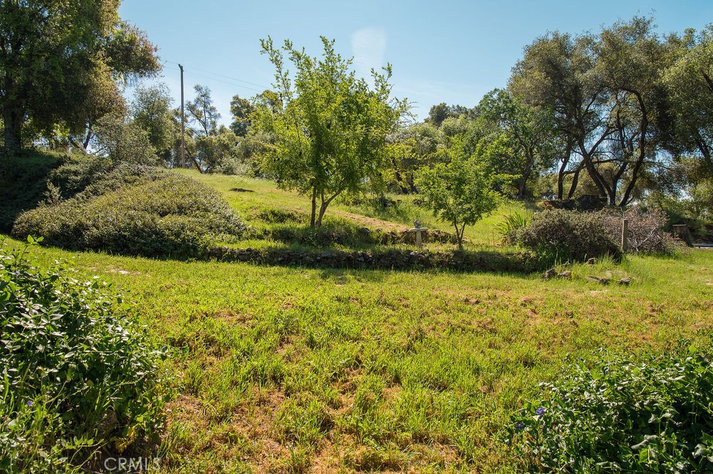 5085 Boyer Road Mariposa, CA 95338 - Photo 67 of 75 a view of a yard