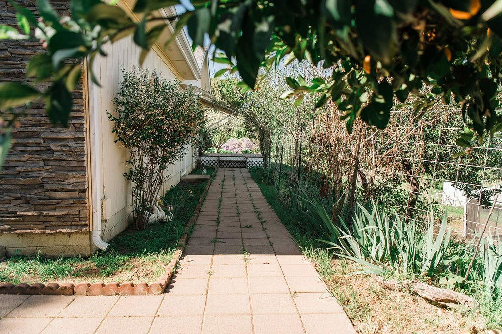 5085 Boyer Road Mariposa, CA 95338 - Photo 7 of 75 a backyard of a house with lots of green space
