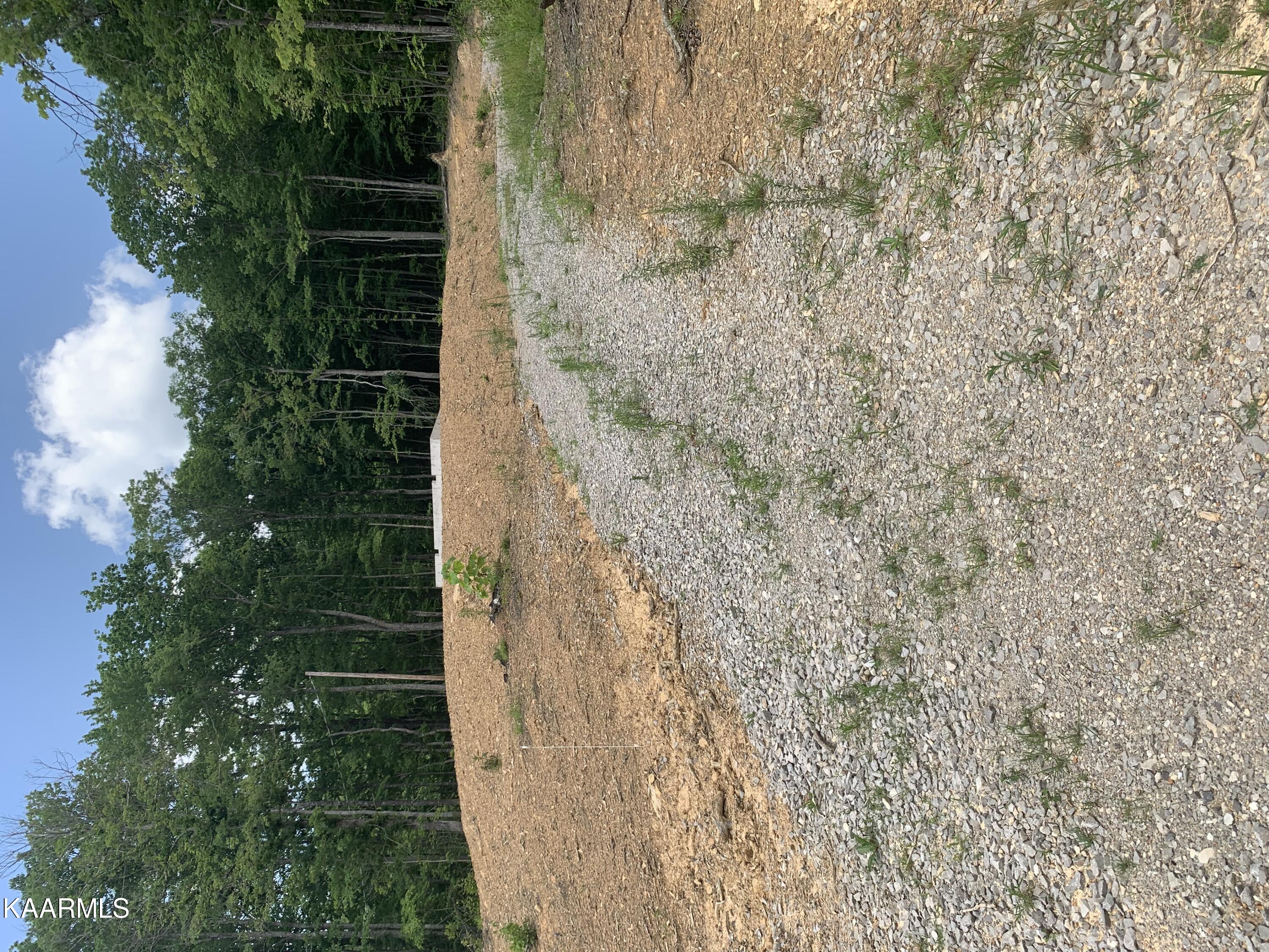0 Evelyn Road Huntsville, TN 37756 - Photo 11 of 16 6EB21526-695F-4D76-8A8F-41884561B92E