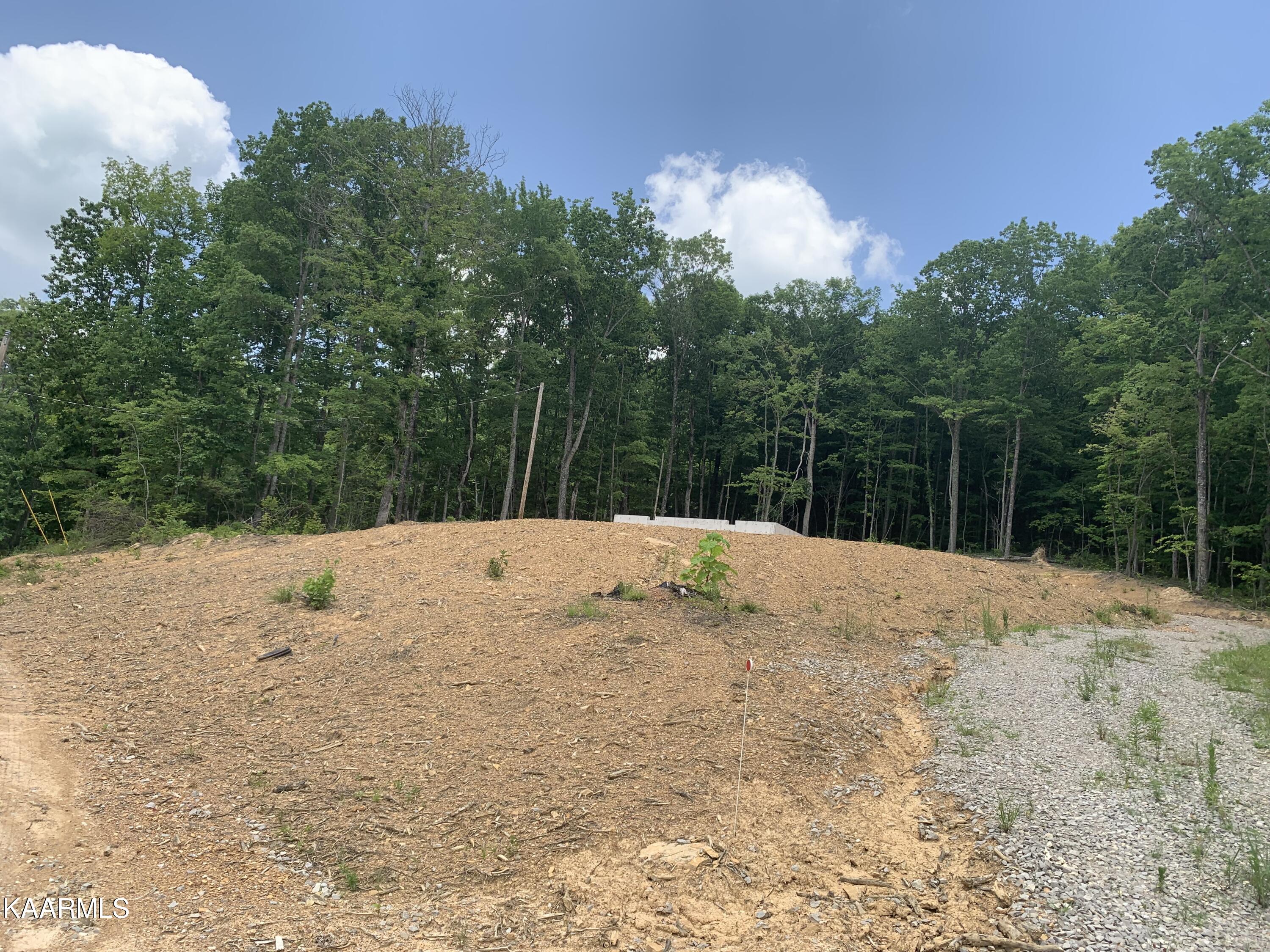 0 Evelyn Road Huntsville, TN 37756 - Photo 12 of 16 61743A0F-508D-4A6C-8317-F194555B7F83
