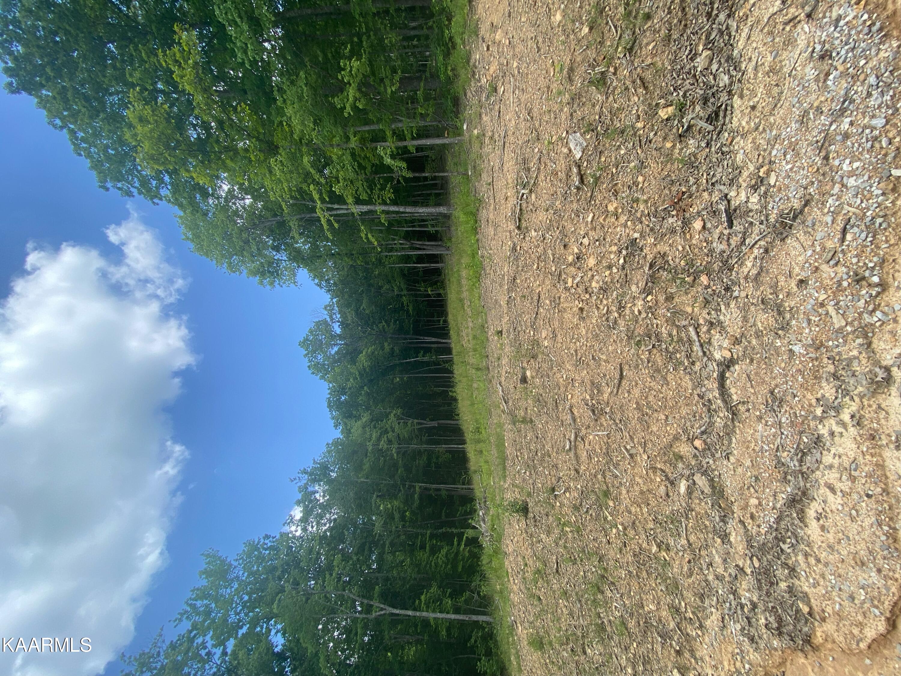0 Evelyn Road Huntsville, TN 37756 - Photo 13 of 16 38253ED6-9564-4DEC-A7E5-BC043317C565