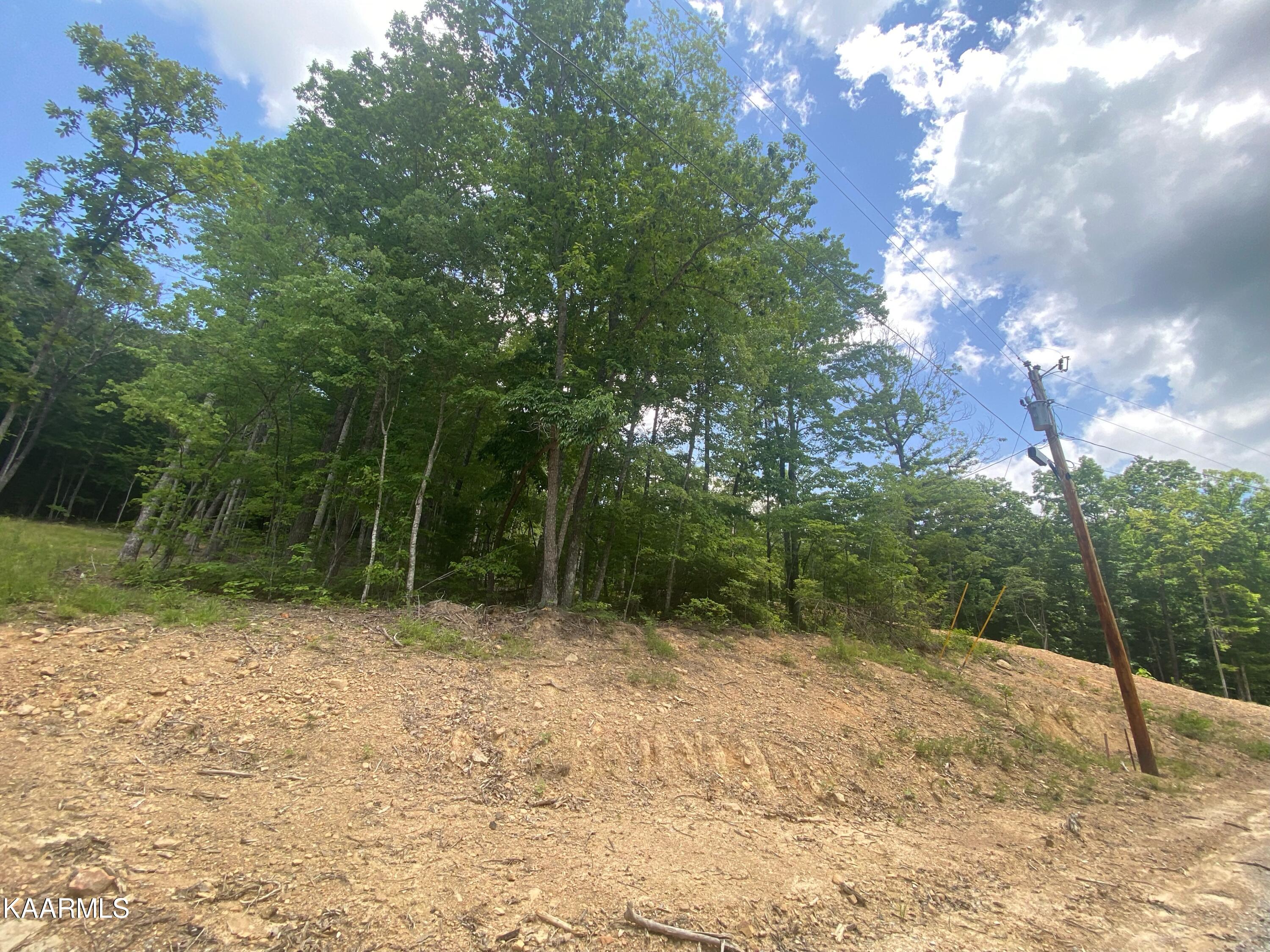 0 Evelyn Road Huntsville, TN 37756 - Photo 14 of 16 18E2E378-3291-48CB-91AE-1436ABF79CF2