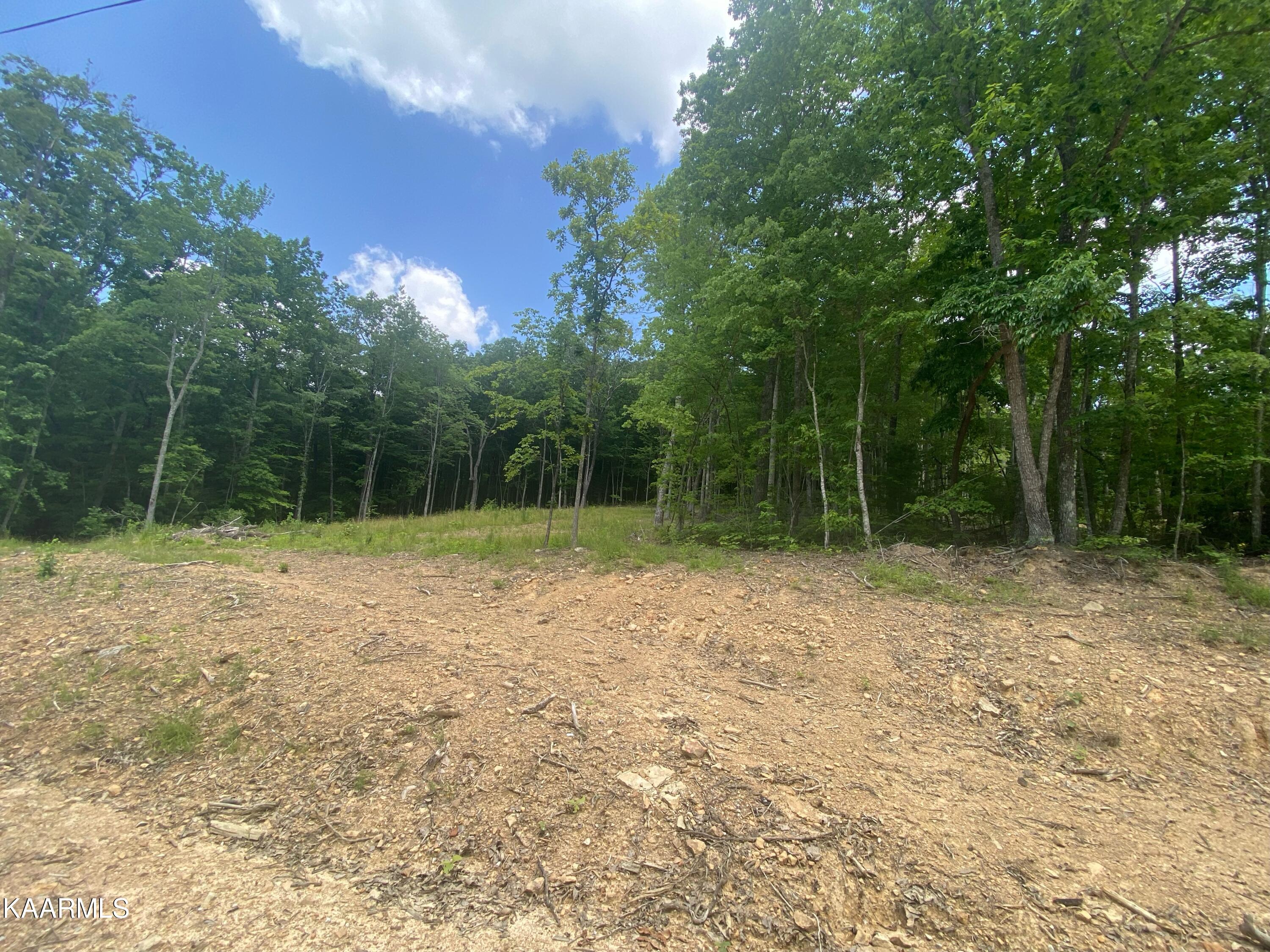 0 Evelyn Road Huntsville, TN 37756 - Photo 15 of 16 B1335350-7D87-4E34-9C4E-4CD201A1DE45