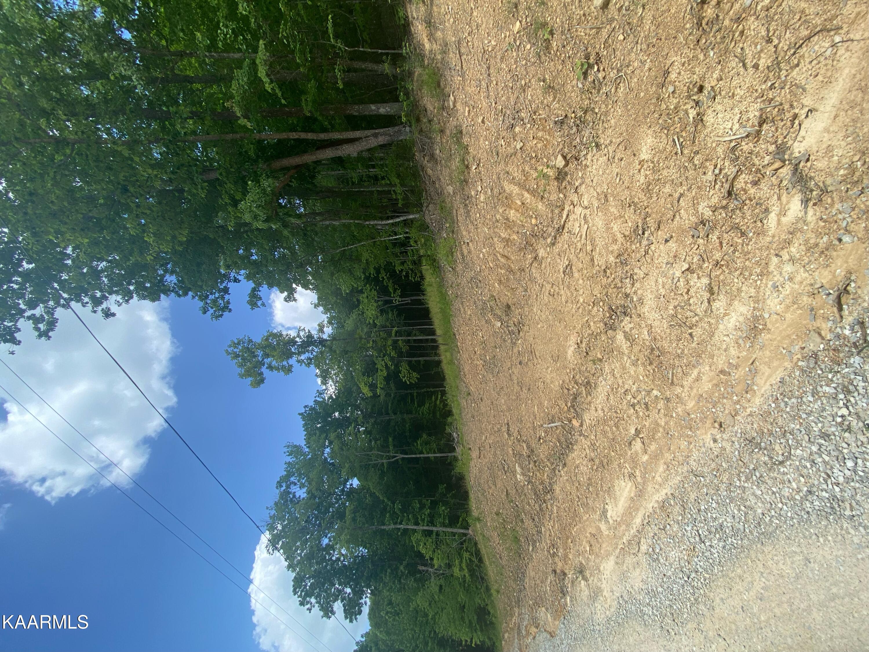 0 Evelyn Road Huntsville, TN 37756 - Photo 16 of 16 4A5EAA4D-93B9-4167-90B2-FC1C8E3A4CB7