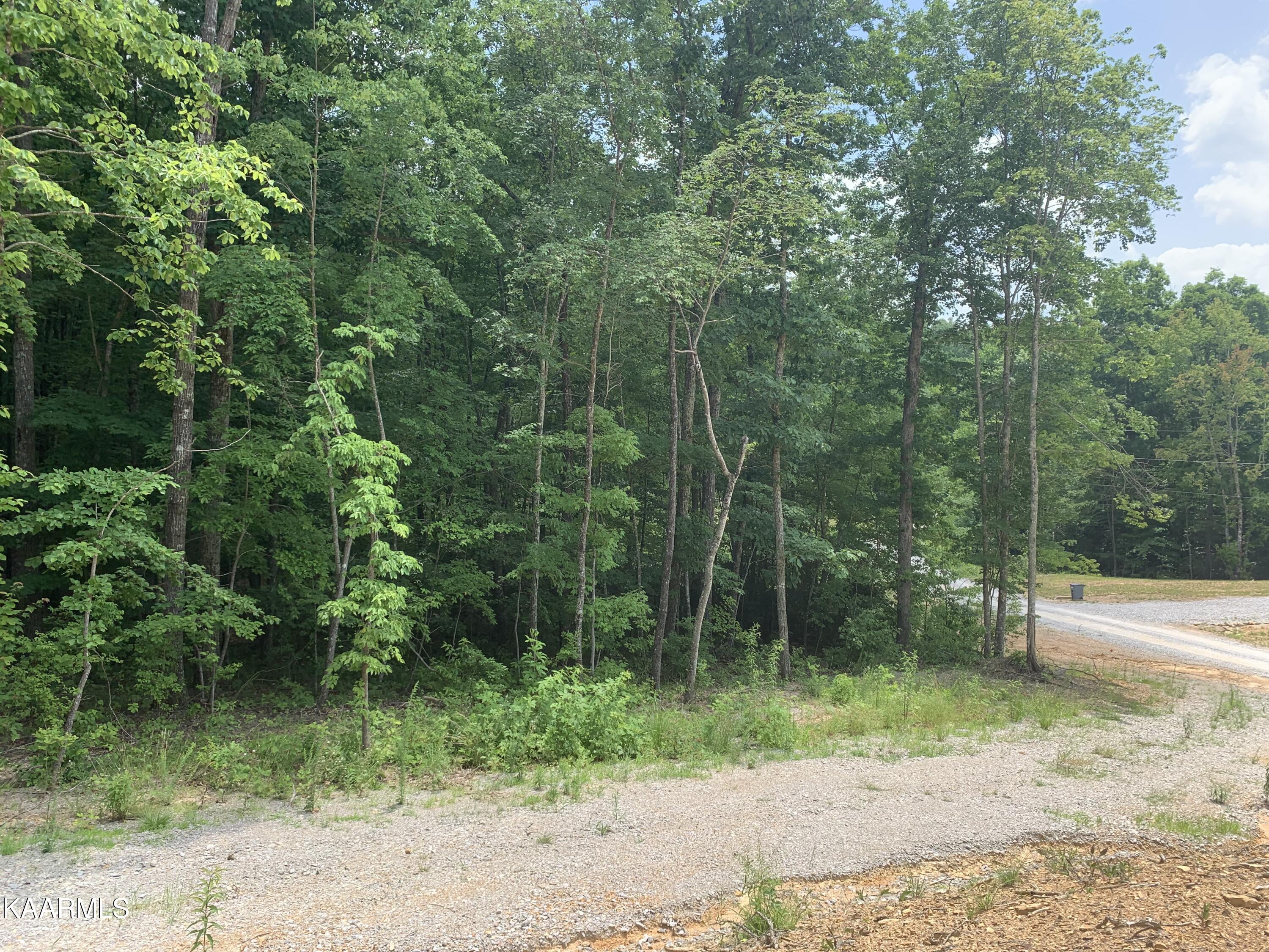 0 Evelyn Road Huntsville, TN 37756 - Photo 5 of 16 8BBECC3C-3ECD-49E9-A27B-7A44528D575B