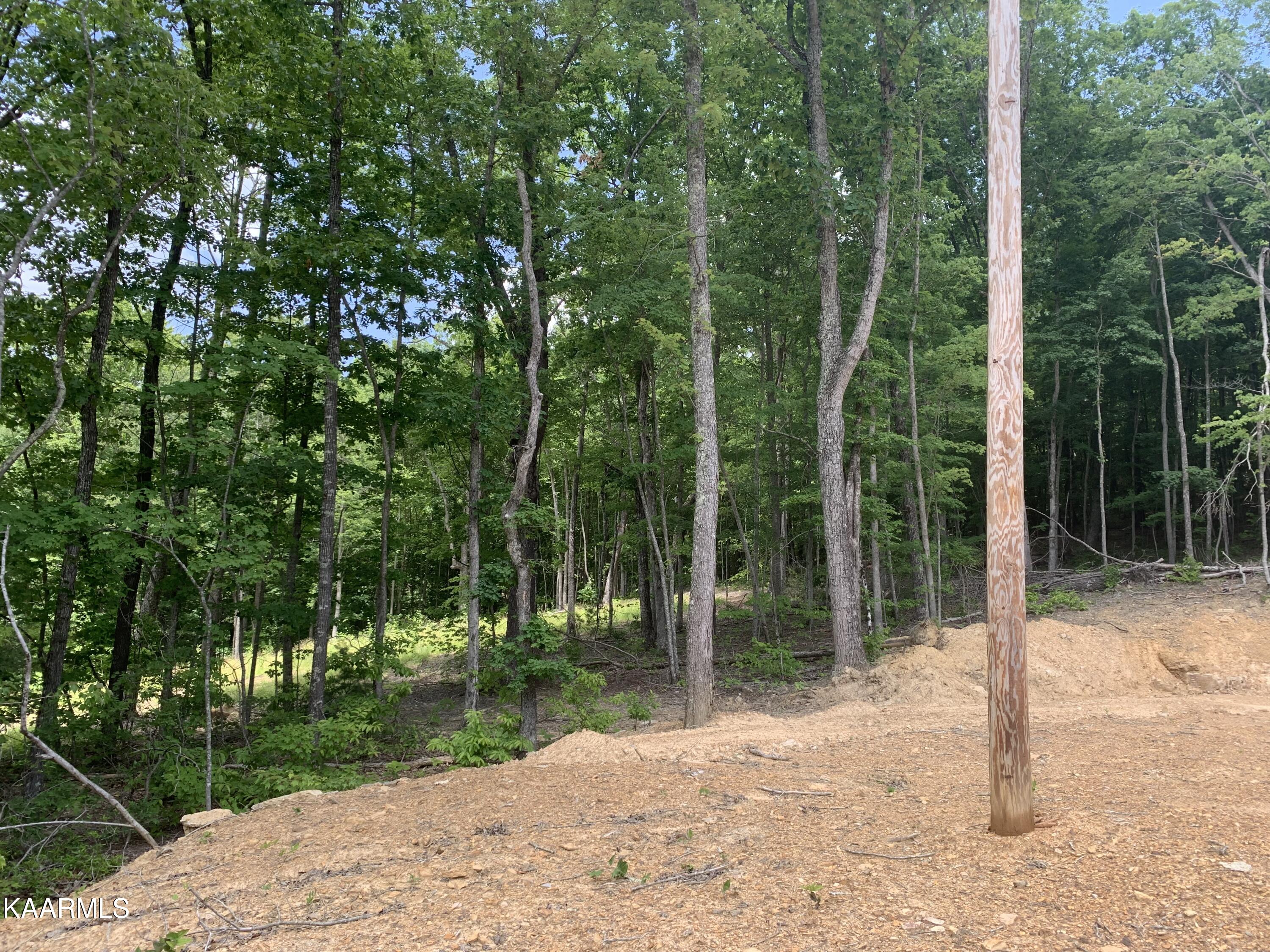 0 Evelyn Road Huntsville, TN 37756 - Photo 8 of 16 0FBE3B3A-5970-4F38-B1F0-8AE55A0A10A2