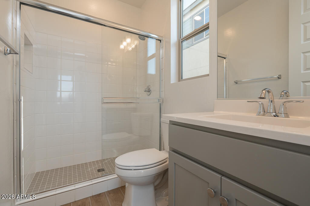 5857 South Granite Street Gilbert, AZ 85298 - Photo 12 of 20 a bathroom with a sink a toilet and shower