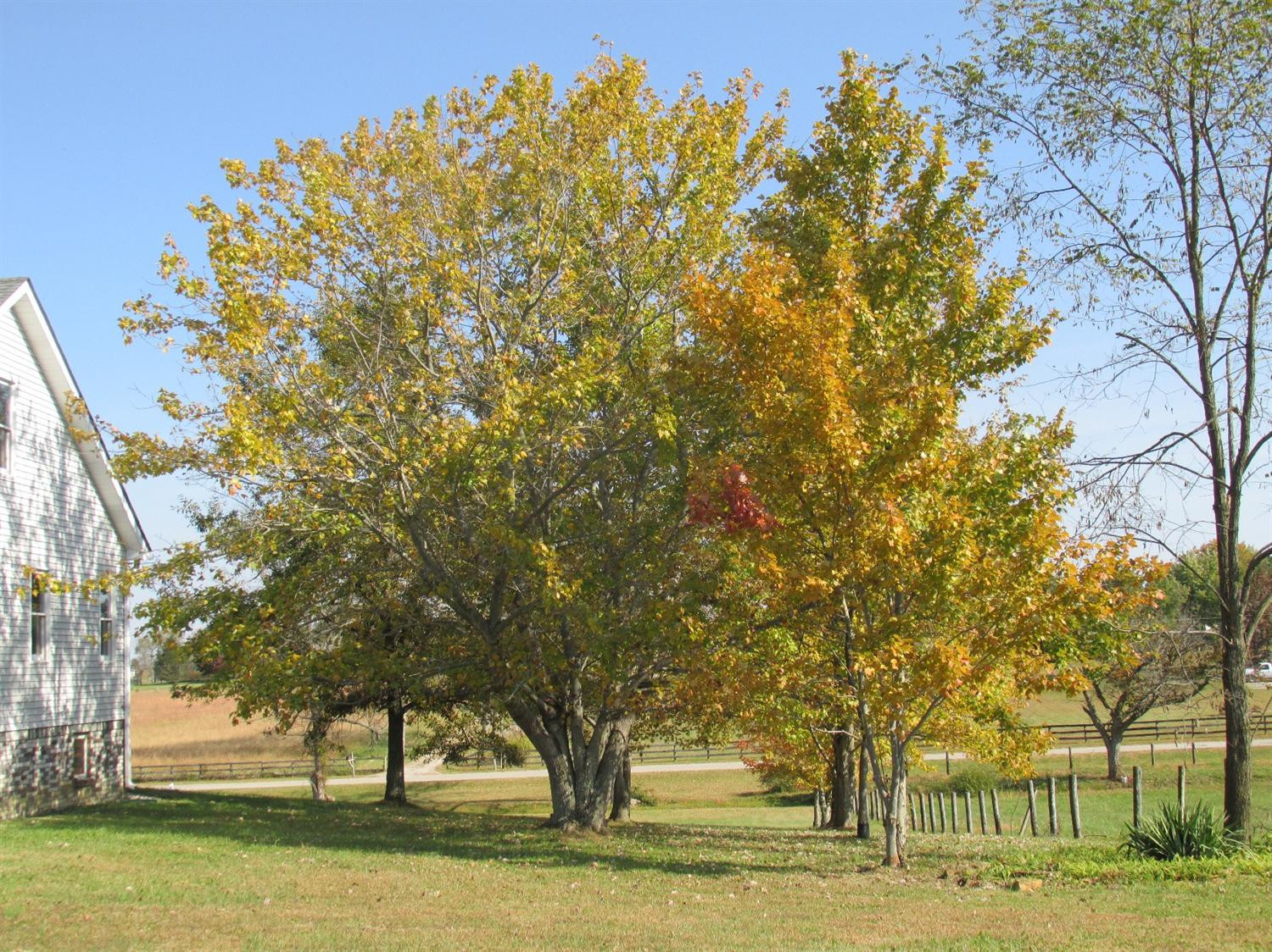 105 Jenkins Road Waco, KY 40385 - Photo 18 of 39 Photo 18