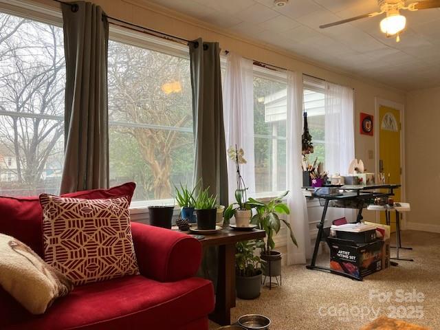 412 Miles Road Shelby, NC 28150 - Photo 22 of 36 Gallery Image 22