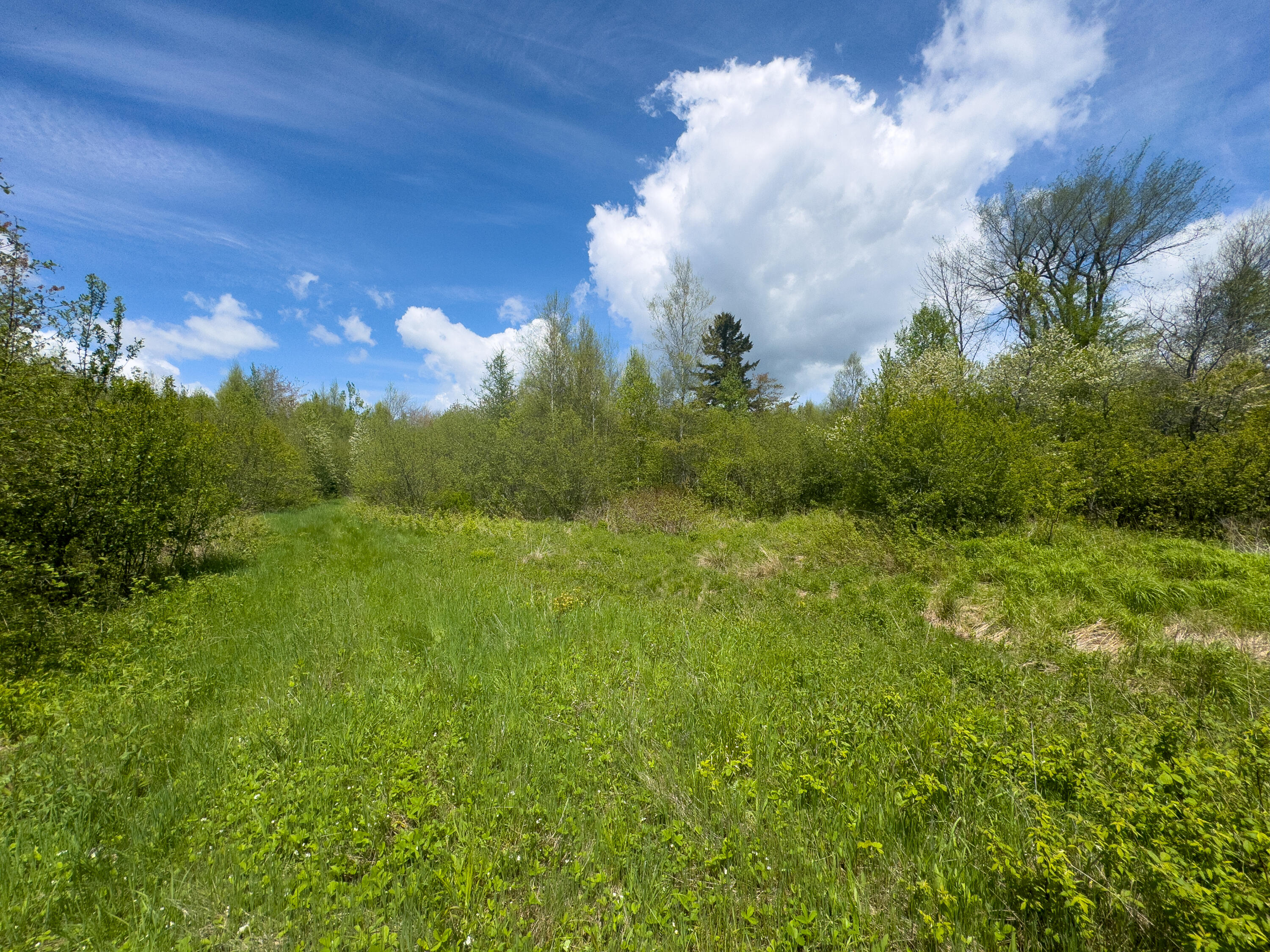 Lot 4 East Ridge Road Cooper, ME 04657 - Photo 15 of 20 RIDGE ROAD LOT 4-15