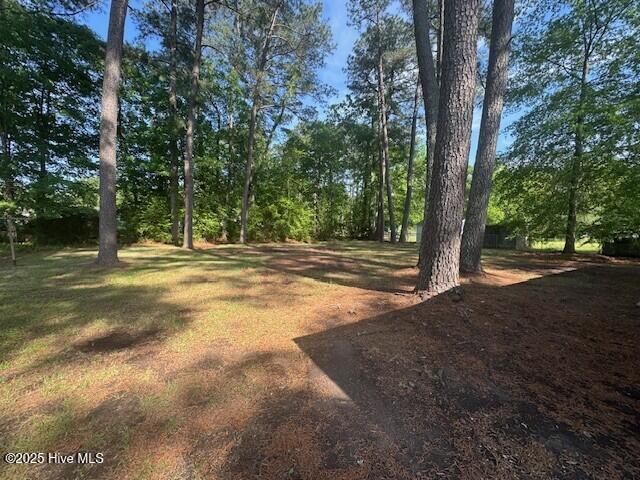 137 Ray Farmer Road Aulander, NC 27805 - Photo 14 of 15 Backyard