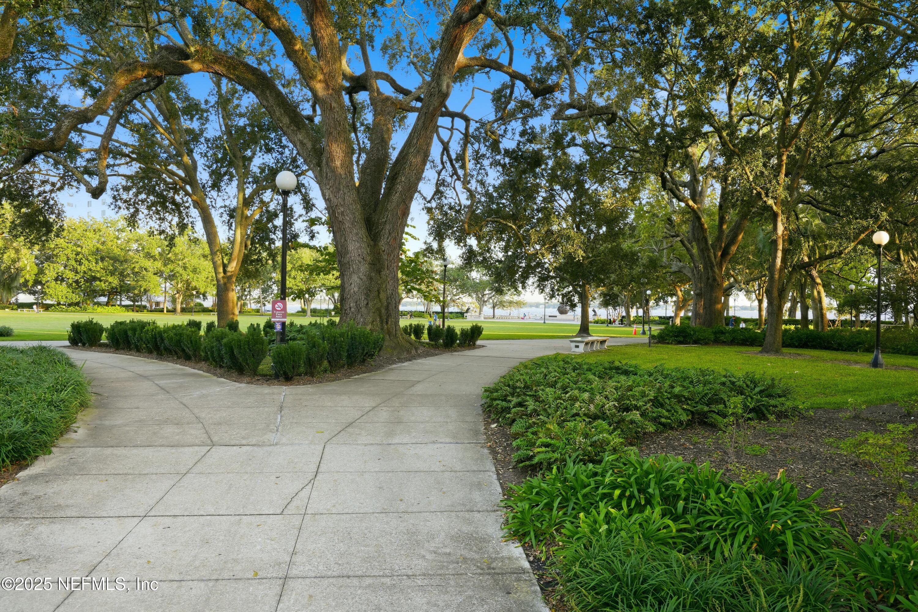 3319 Pine Street, Unit 7 Jacksonville, FL 32205 - Photo 34 of 37 a view of a yard with large trees