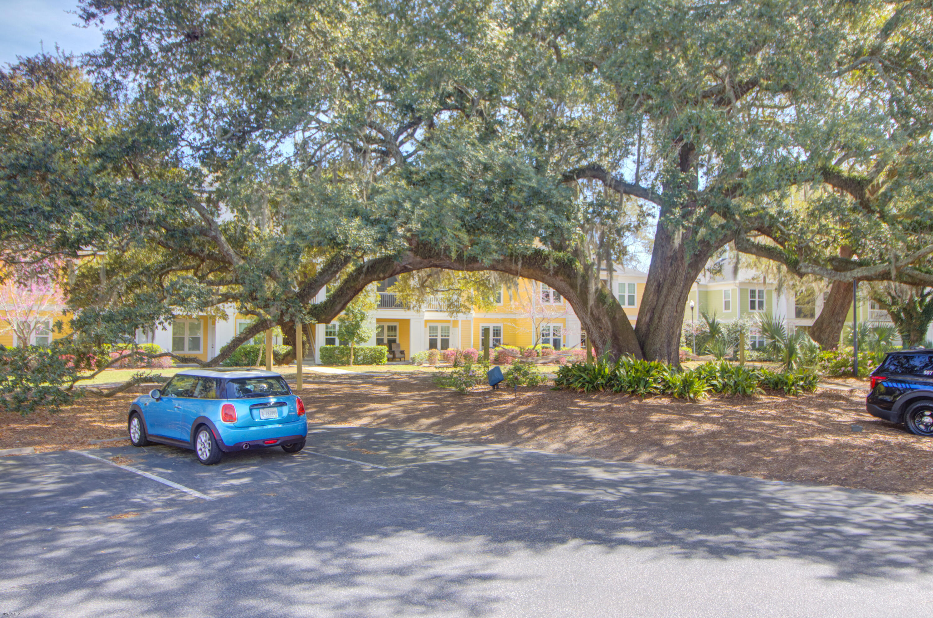 2315 Chatelain Way Mount Pleasant, SC 29464 - Photo 23 of 43 Grounds