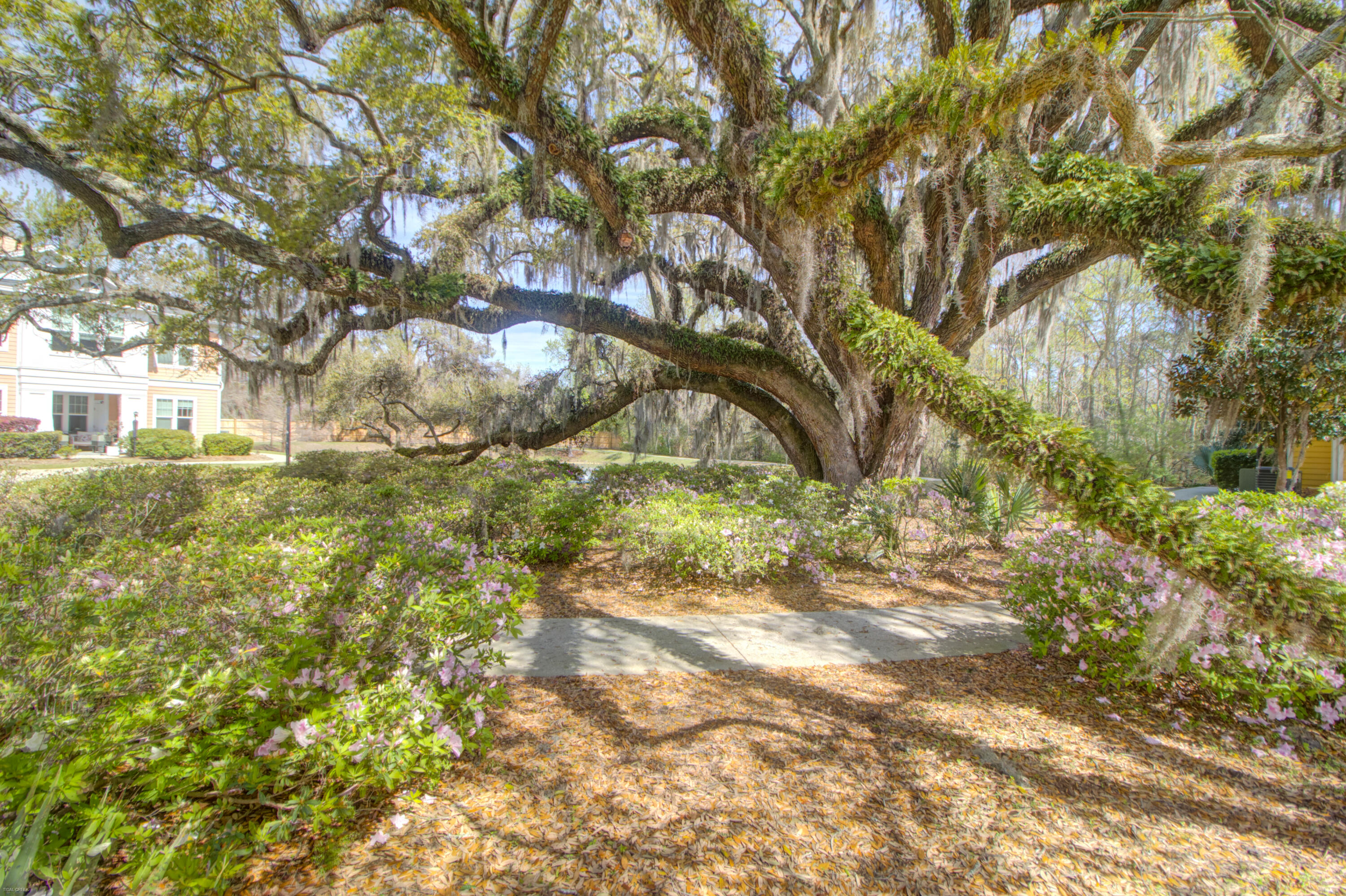 2315 Chatelain Way Mount Pleasant, SC 29464 - Photo 24 of 43 Grounds
