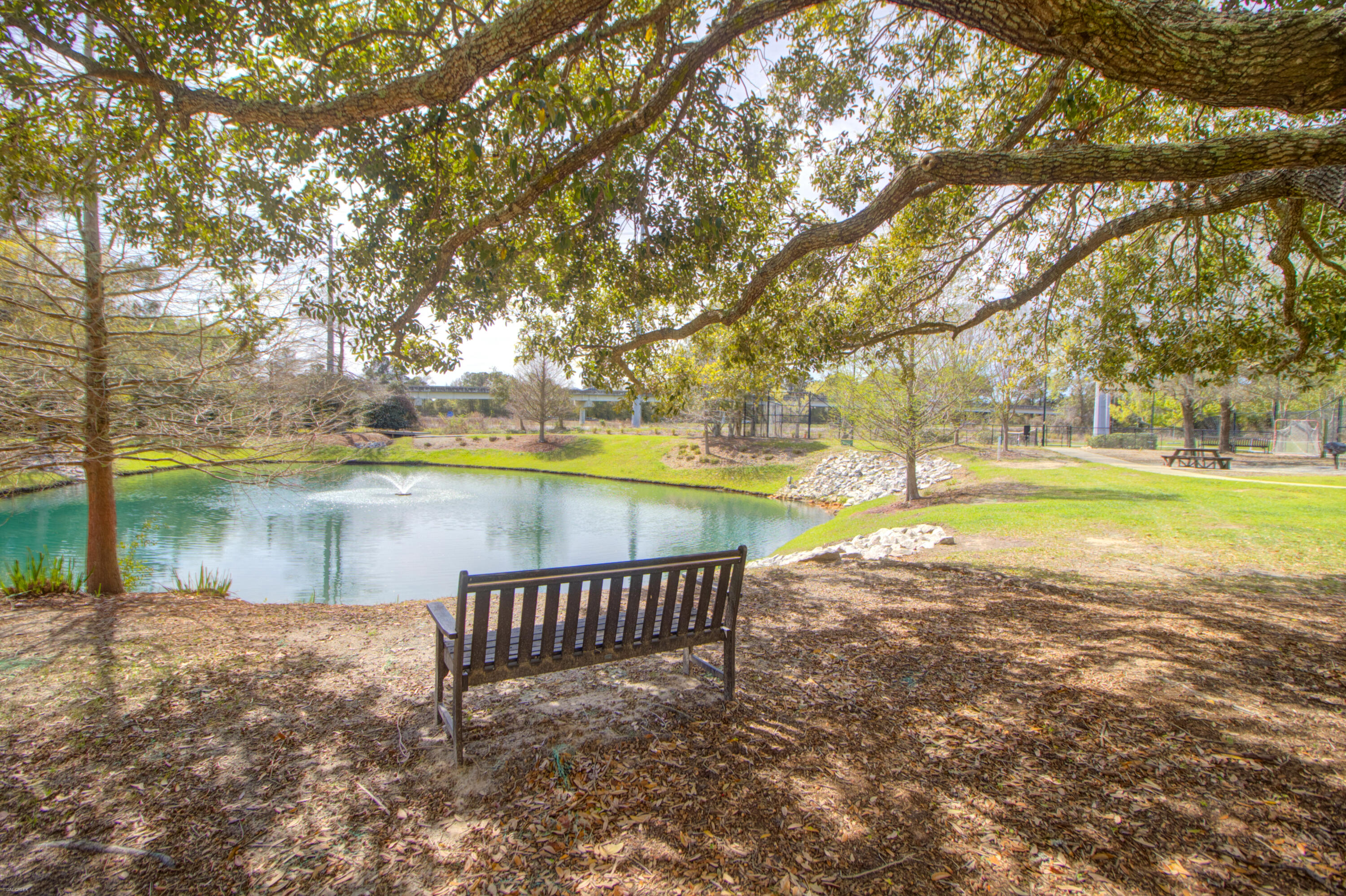 2315 Chatelain Way Mount Pleasant, SC 29464 - Photo 41 of 43 Pond