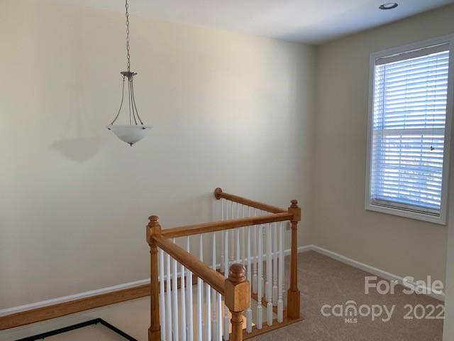 133 Forest Ridge Road Mooresville, NC 28117 - Photo 6 of 11 Gallery Image 6