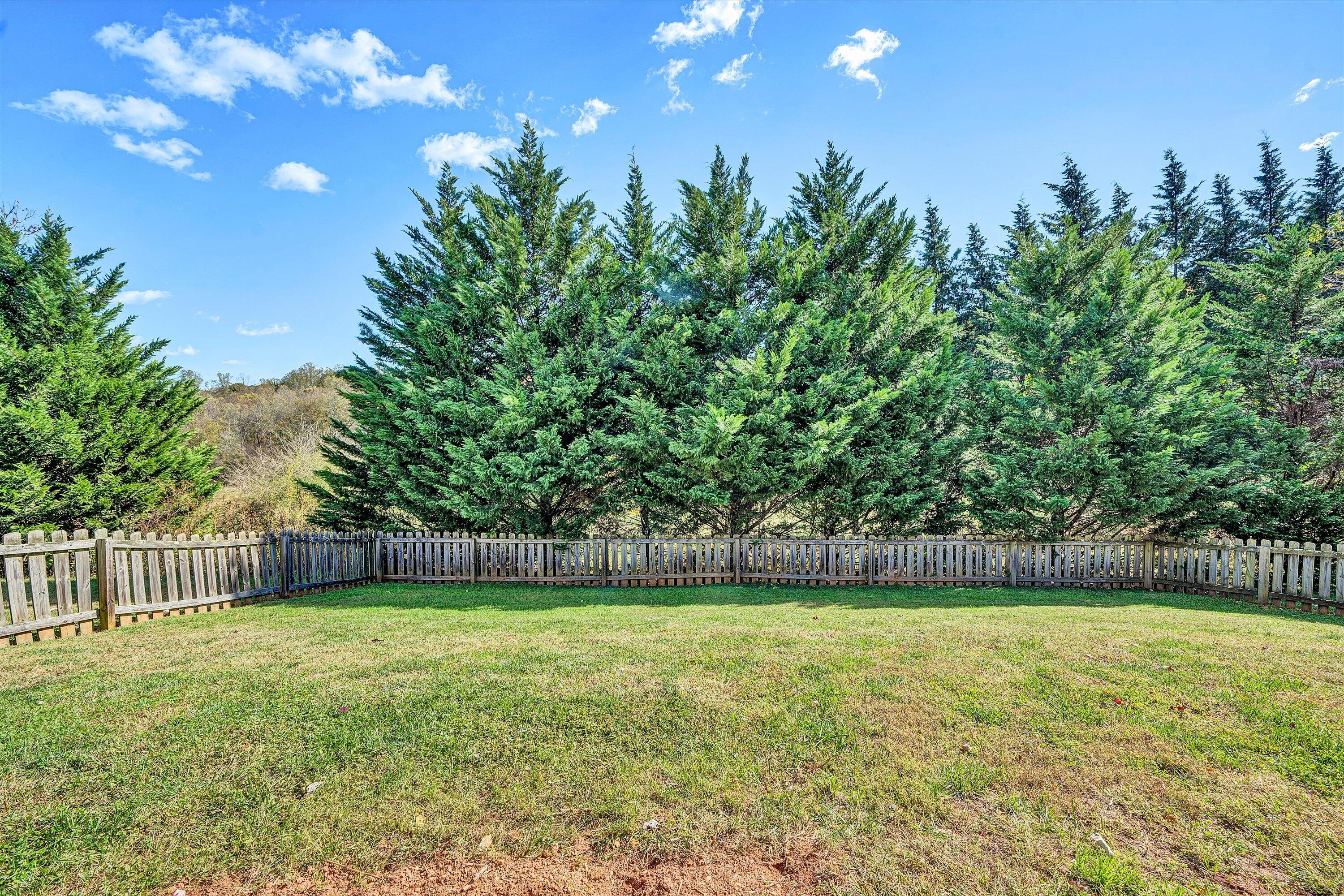 555 Old Fort Road Rocky Mount, VA 24151 - Photo 30 of 35 a view of a yard with a tree