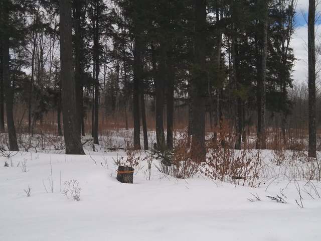On Beaver Lodge Road Mercer, WI 54547 - Photo 2 of 3 Gallery Image 2
