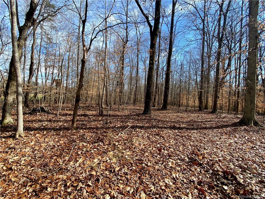 1113 Wagner Road Mocksville, NC 27028 - Photo 27 of 34 Gallery Image 27