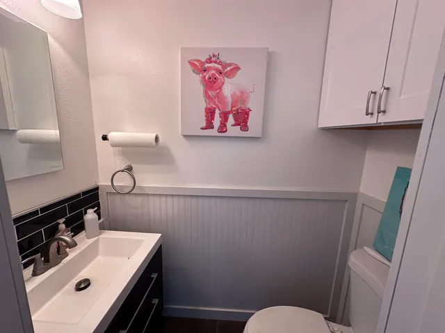 a bathroom with a sink toilet and vanity