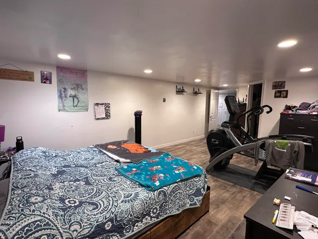 a garden view with tall trees