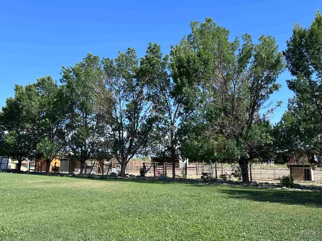 a view of a garden with a fountain