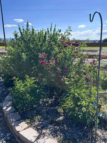 a view of a patio with a table chairs and a backyard