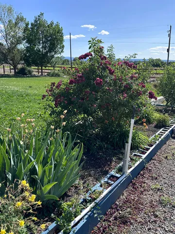 a view of a backyard with of the house