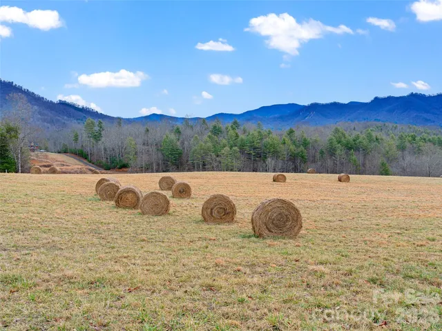 a view of yard with mountain view