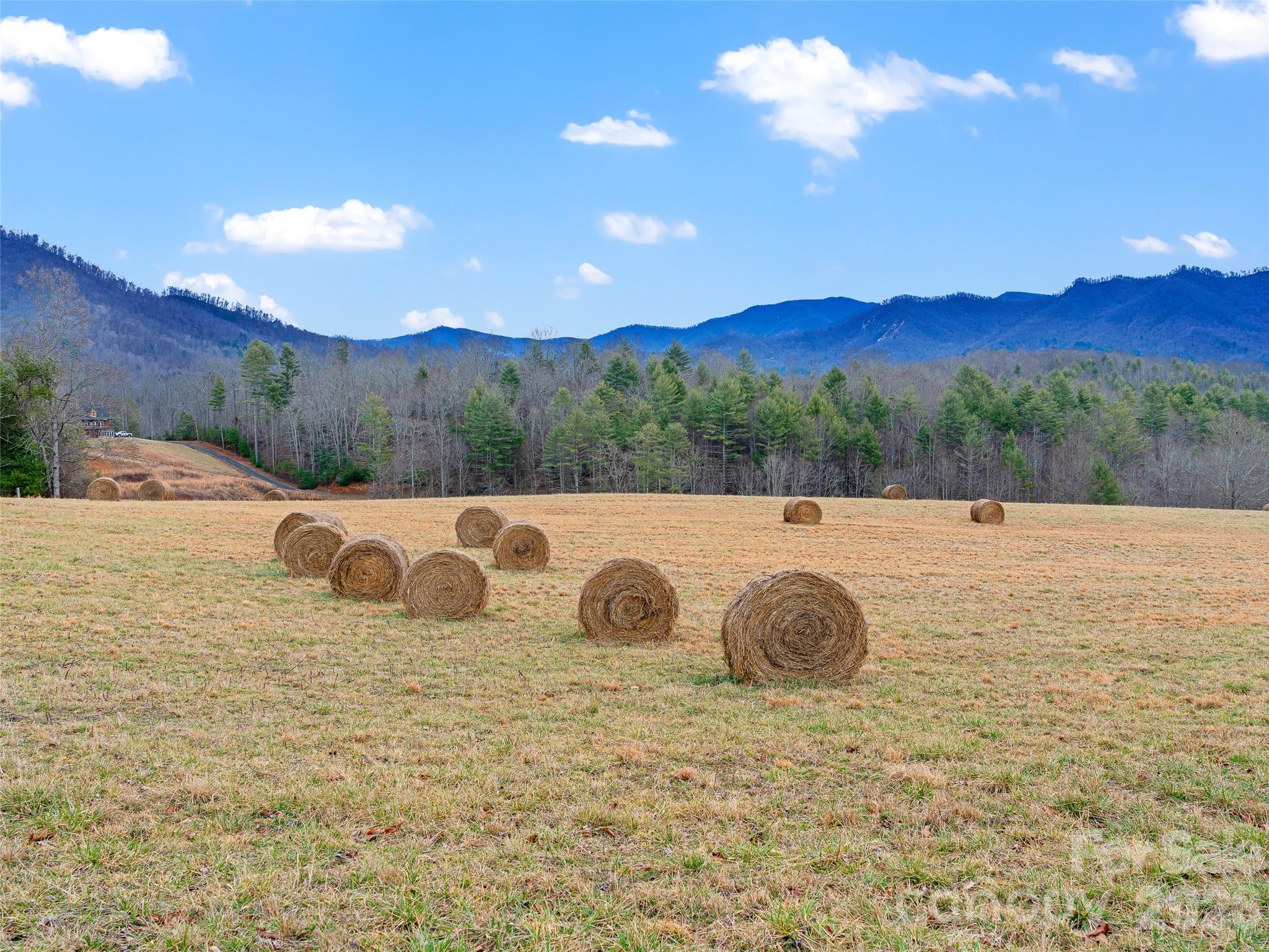 784 Green Young Cemetery Road Bakersville, NC 28705 - Photo 1 of 46 a view of yard with mountain view