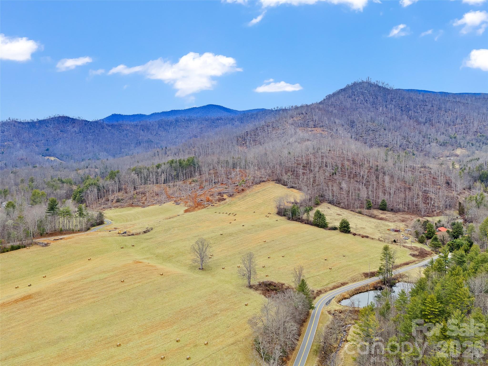 784 Green Young Cemetery Road Bakersville, NC 28705 - Photo 12 of 46 a view of swimming pool and mountain