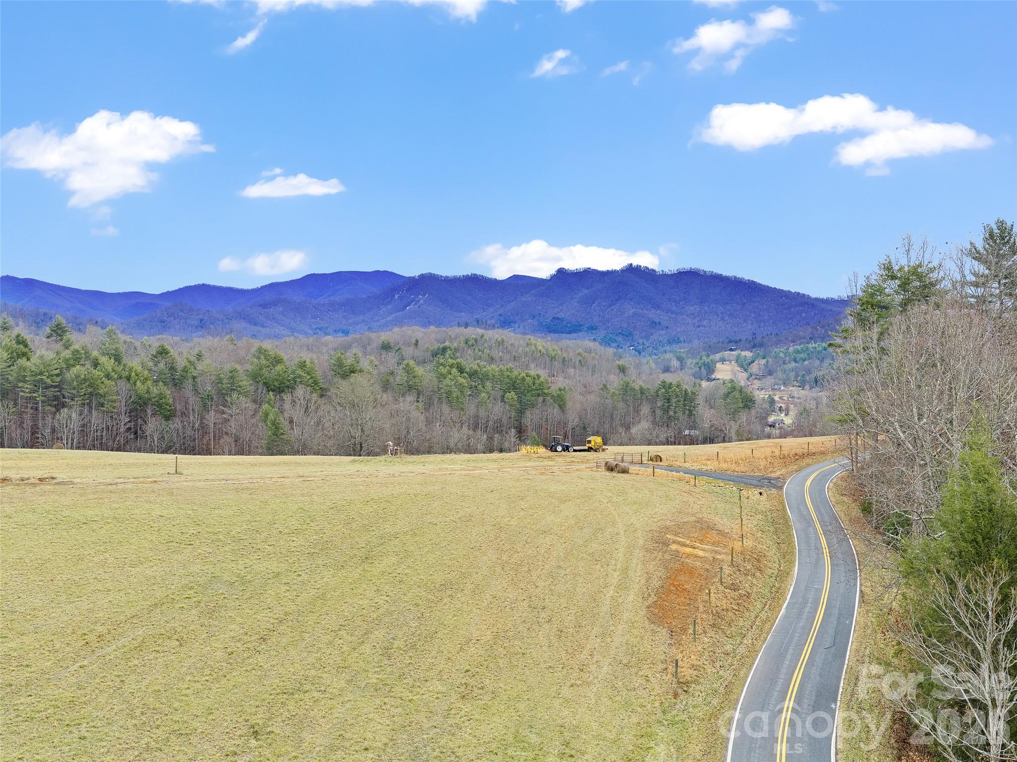 784 Green Young Cemetery Road Bakersville, NC 28705 - Photo 15 of 46 a view of outdoor space and mountain view