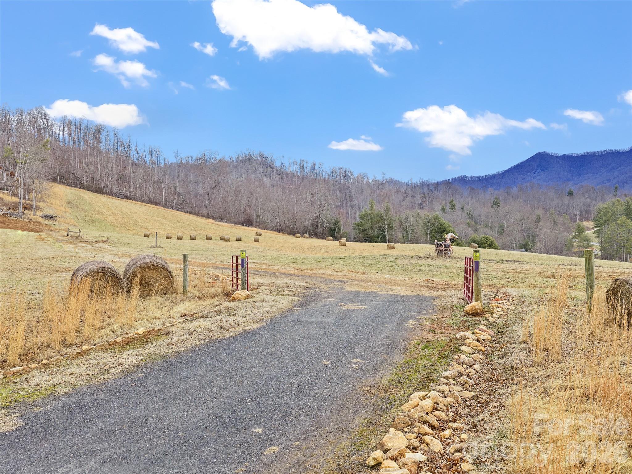 784 Green Young Cemetery Road Bakersville, NC 28705 - Photo 17 of 46 a view of a road with a yard