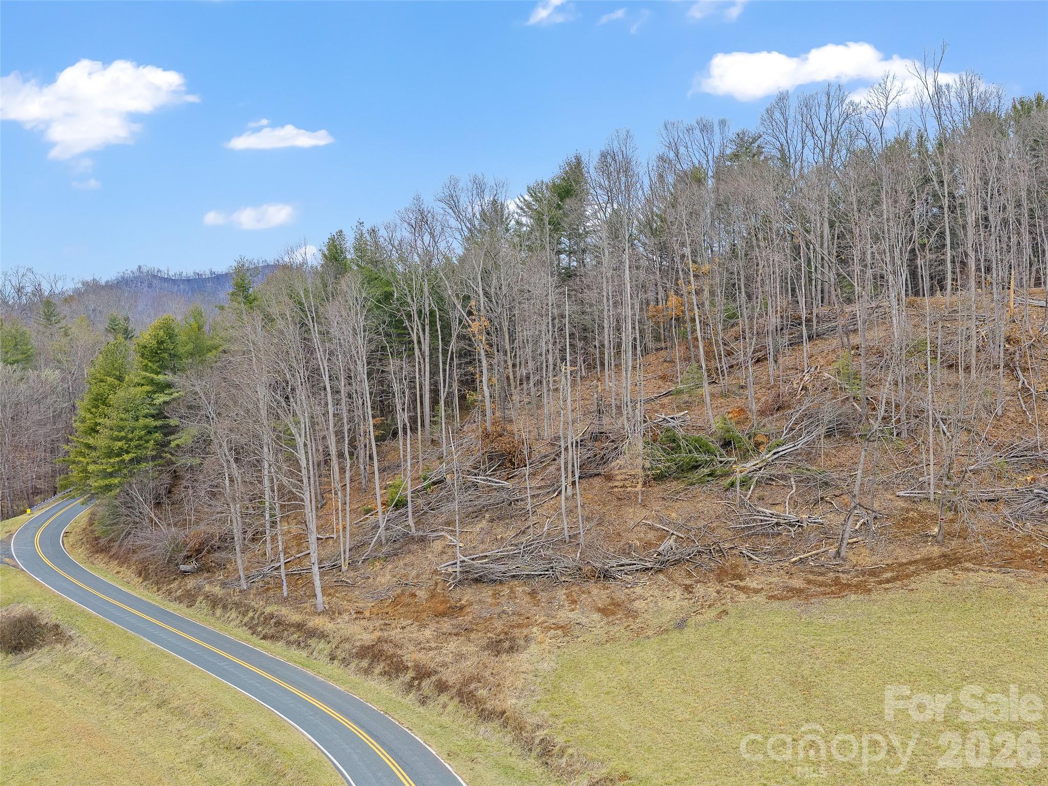 784 Green Young Cemetery Road Bakersville, NC 28705 - Photo 19 of 46 a view of a water pond with green space