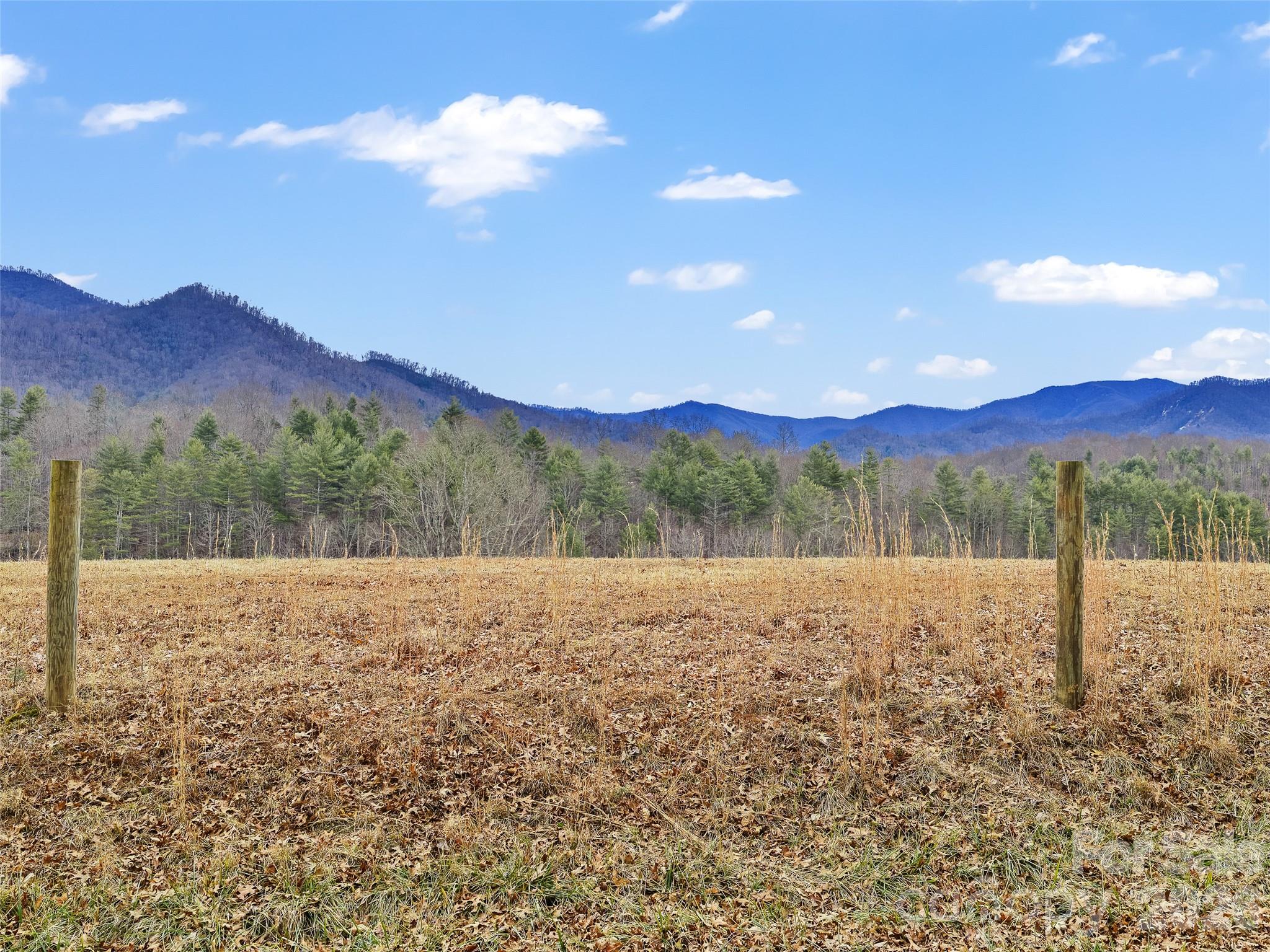 784 Green Young Cemetery Road Bakersville, NC 28705 - Photo 20 of 46 a view of an outdoor space and mountain view