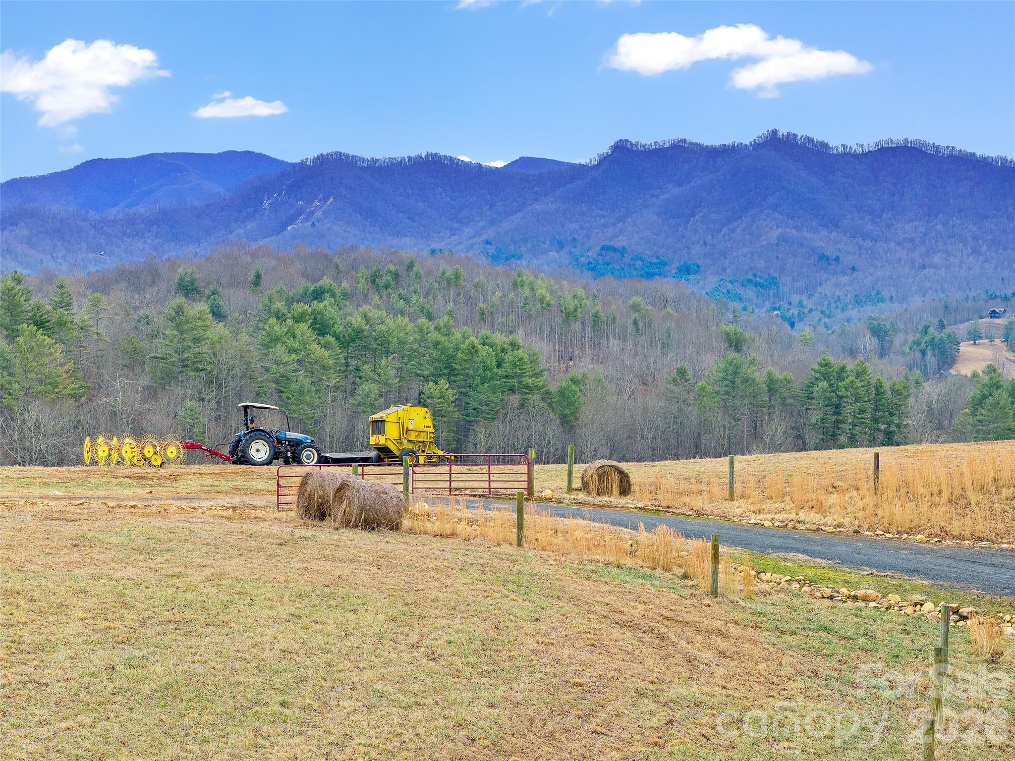 784 Green Young Cemetery Road Bakersville, NC 28705 - Photo 2 of 46 a view of outdoor space and mountain view