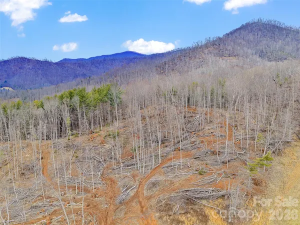 a view of a backyard of mountain and with trees