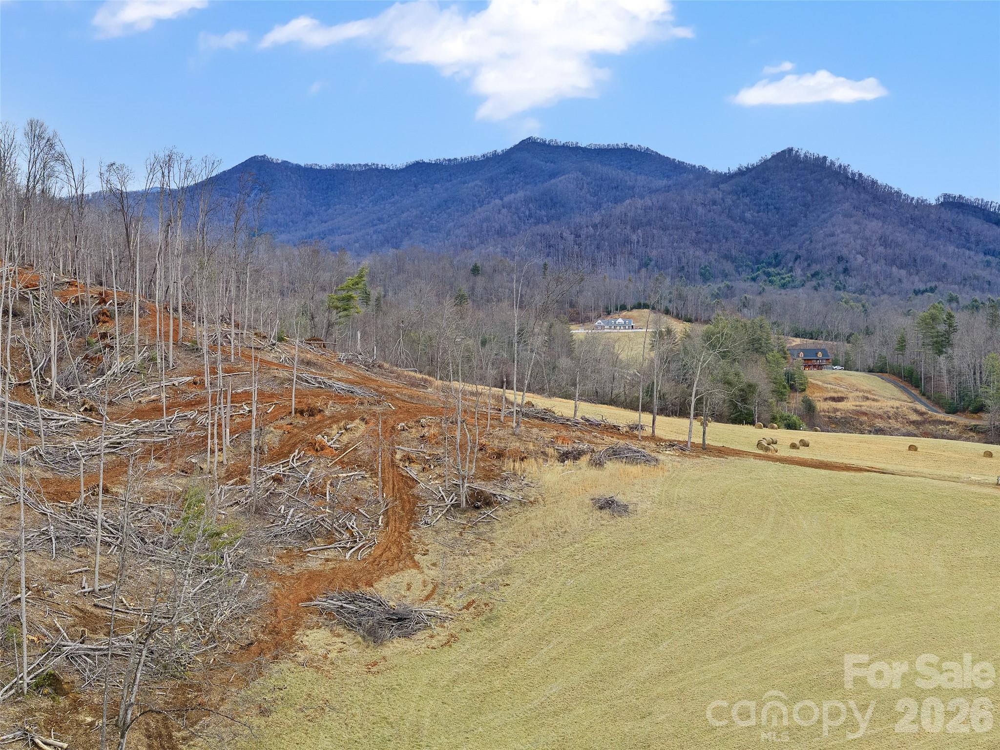 784 Green Young Cemetery Road Bakersville, NC 28705 - Photo 22 of 46 a view of a backyard with mountain view