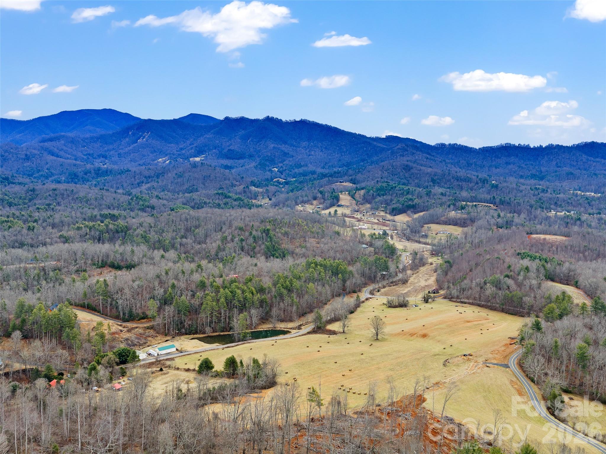 784 Green Young Cemetery Road Bakersville, NC 28705 - Photo 23 of 46 a view of a backyard of mountain and with trees
