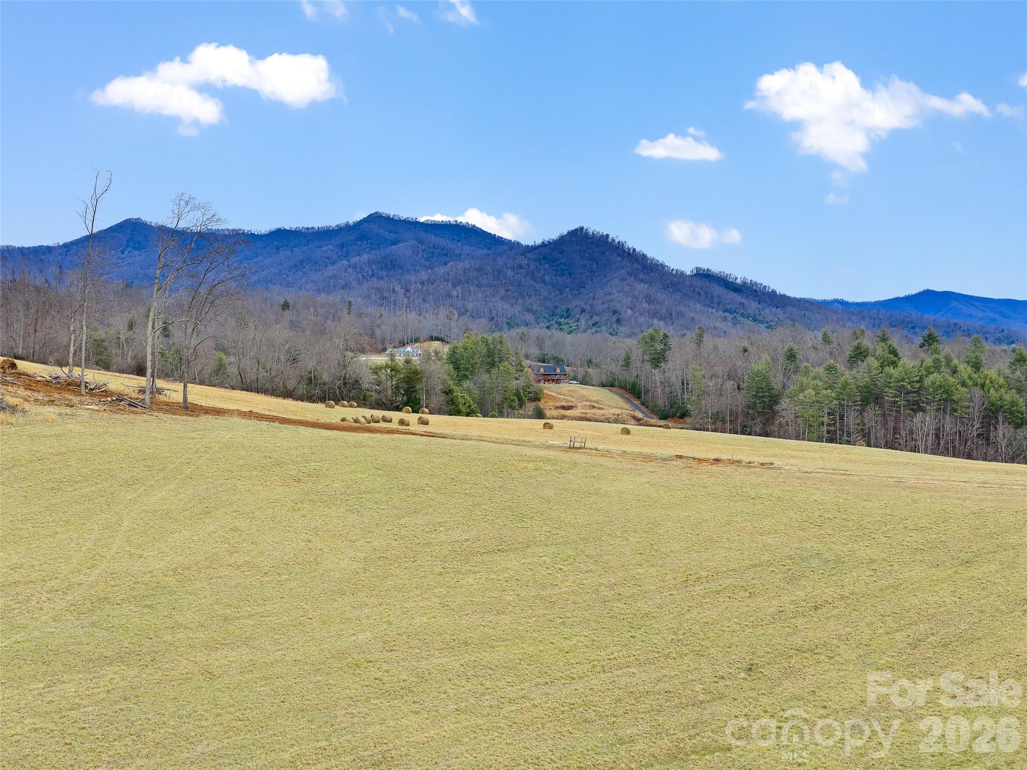 784 Green Young Cemetery Road Bakersville, NC 28705 - Photo 24 of 46 a view of an ocean and a mountain