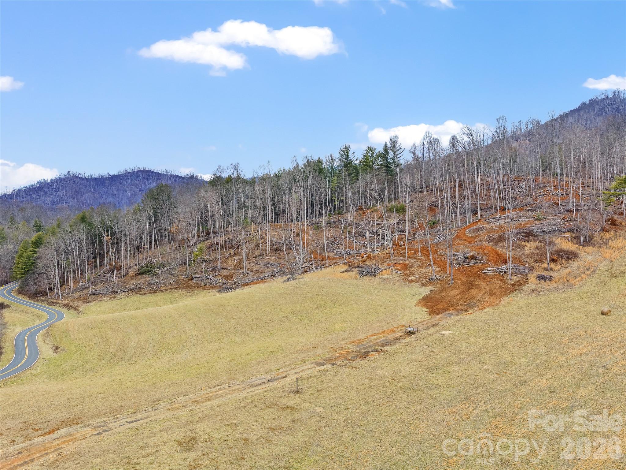 784 Green Young Cemetery Road Bakersville, NC 28705 - Photo 25 of 46 a view of a backyard of a house