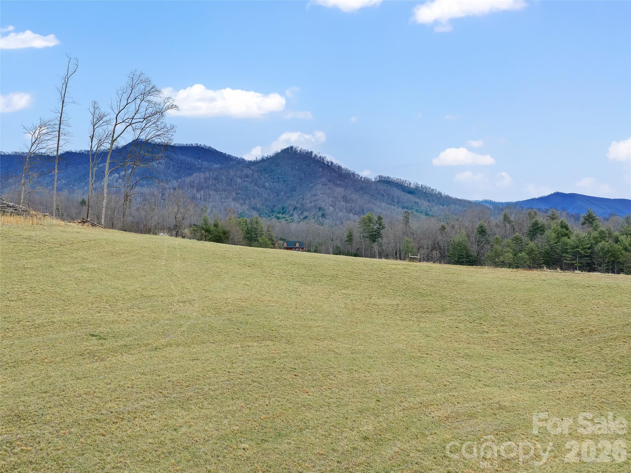 784 Green Young Cemetery Road Bakersville, NC 28705 - Photo 26 of 46 a view of an ocean and a mountain