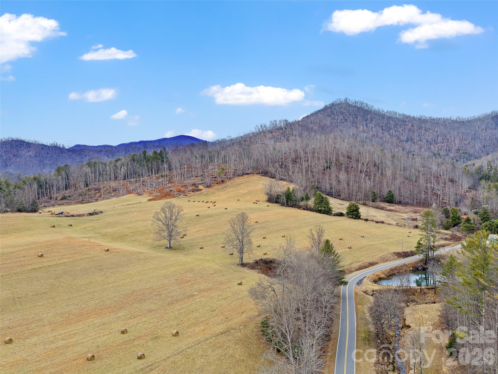 784 Green Young Cemetery Road Bakersville, NC 28705 - Photo 29 of 46 a view of a backyard with mountain