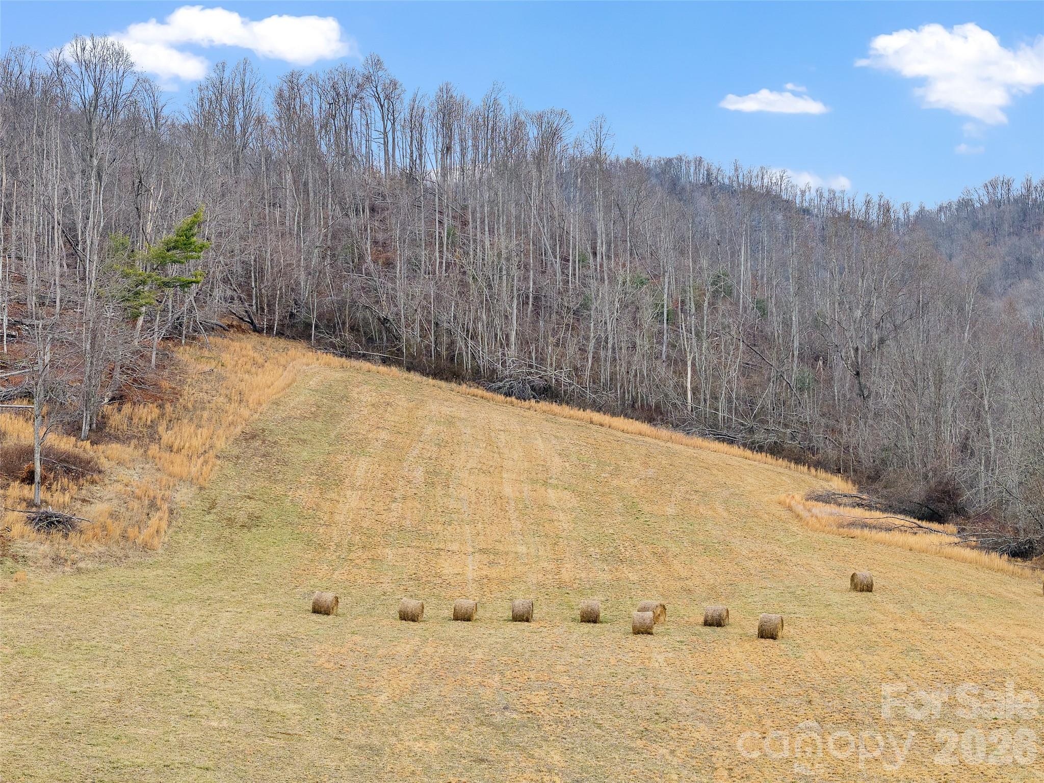 784 Green Young Cemetery Road Bakersville, NC 28705 - Photo 3 of 46 a view of a backyard