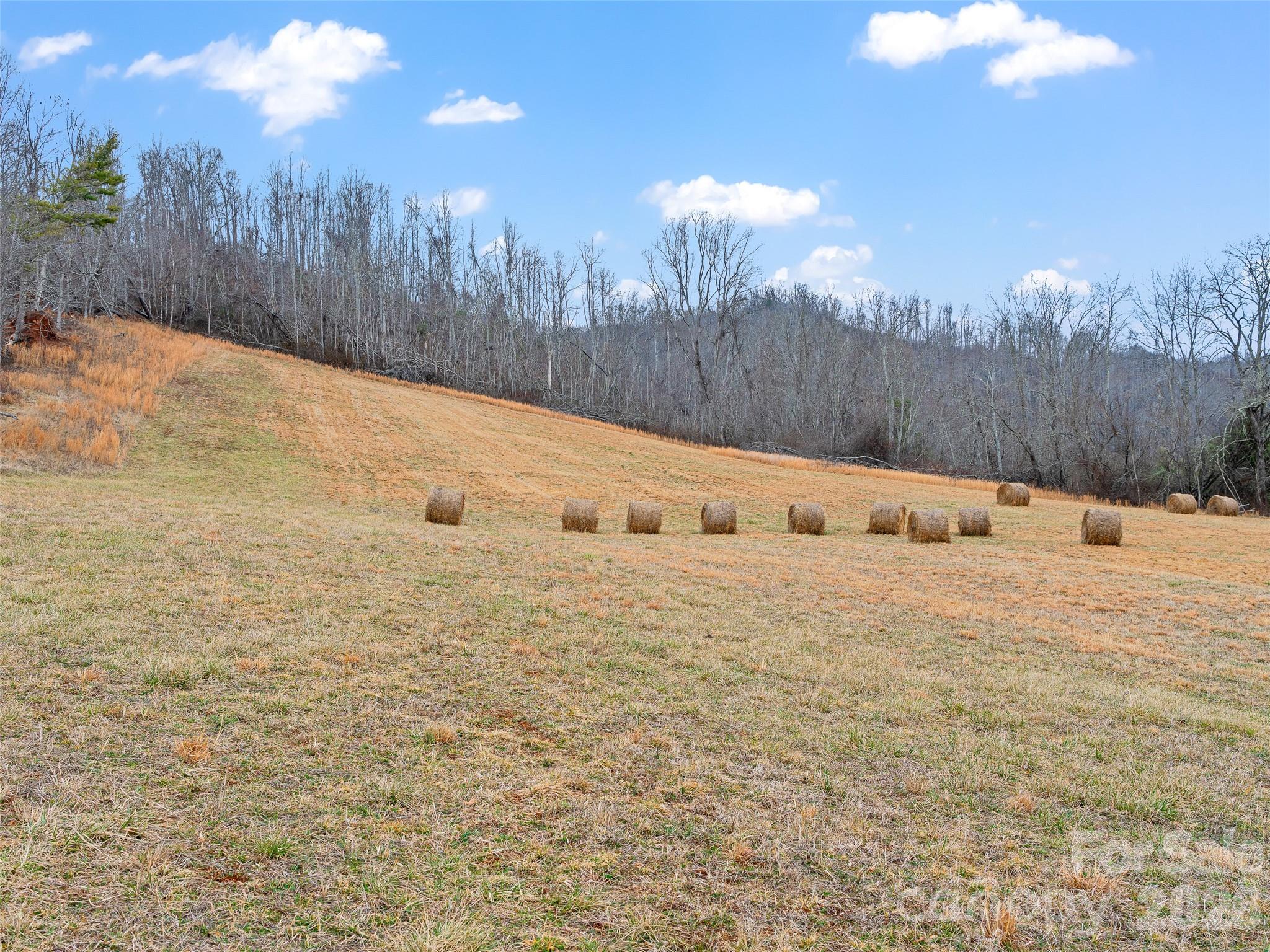 784 Green Young Cemetery Road Bakersville, NC 28705 - Photo 31 of 46